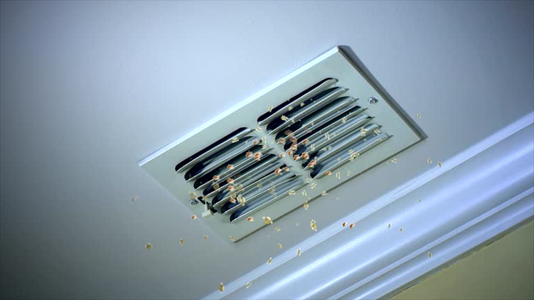Best Best Air Duct Cleaning Company  in Pine Crest, TN