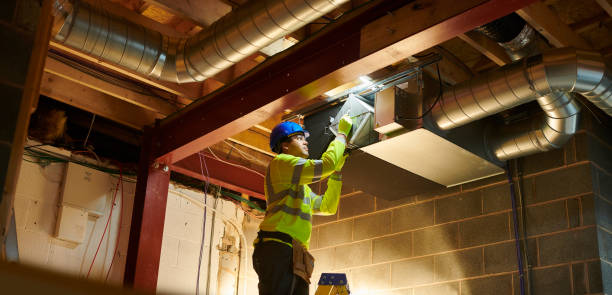 Air Duct Mold Removal in Pine Crest, TN